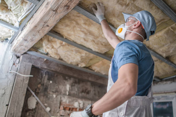 Best Garage Insulation Installation  in Sutton, NE