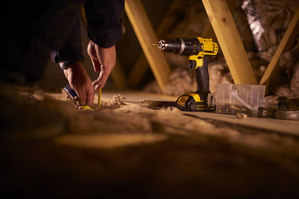 Best Insulation Removal  in Sutton, NE