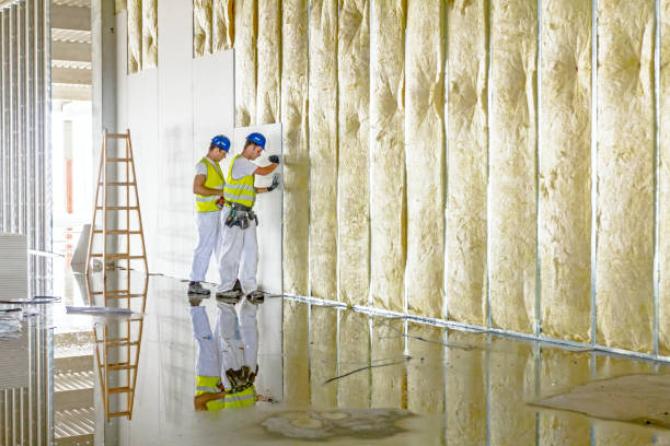 Best Cellulose Insulation  in Sutton, NE